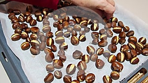 Baked chestnuts on greaseproof paper in a baking tray