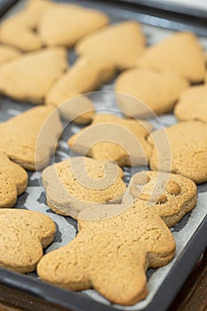 Baked Christmas cookies in the baking tray