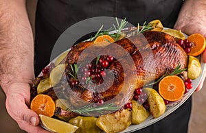 Baked christmas duck or goose stuffed with apples and cranberries