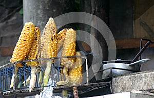 Baked corn-elotes photo
