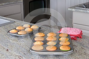 Baked cupcakes on the kitchen counter