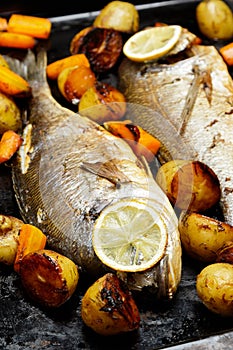 Baked Dorado fish baked with patatoes and carrot