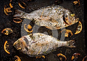 Baked dorado fish in garlic dill sauce with mushrooms and lemon