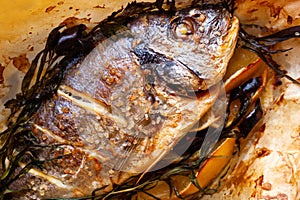 Baked dorado fish with lemon with sea salt close-up