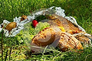 Baked fish with vegetables on vacation in the forest