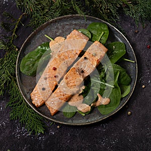 Baked or fried salmon and salad, Paleo, keto, fodmap, dash diet.