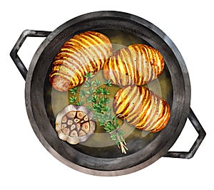 Baked hasselback potatoes garlic and thyme. Watercolor illustration