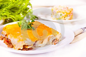 Baked italian cannelloni with minced meat with bechamel sauce on the white plate