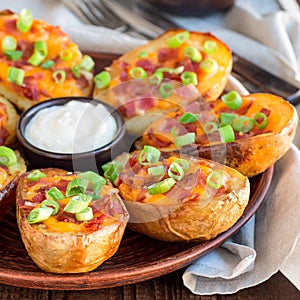 Baked loaded potato skins with cheddar cheese and bacon, garnished with scallions and sour cream, square format