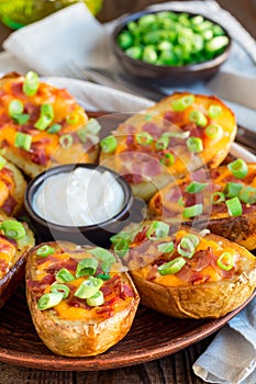 Baked loaded potato skins with cheddar cheese and bacon garnished with scallions and sour cream, vertical photo