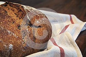 Baked loaf of artisanal whole wheat rustic sourdough bread with black olives