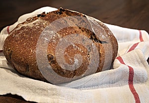 Baked loaf of artisanal whole wheat rustic sourdough bread with black olives