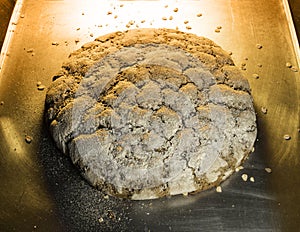 Baked loaf of rye bread on a baking tray