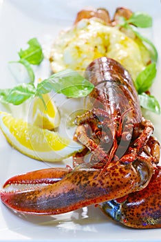 Baked lobster with cheese and lemon slices over white