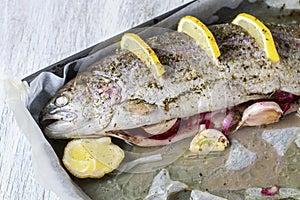 Baked rainbow trout with lemon