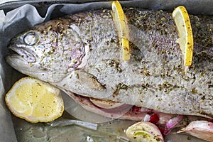 Baked rainbow trout with lemon