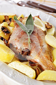 Baked red grouper with vegetables