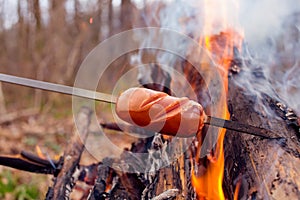 Baked red sausage on fire