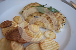 Baked redfish with potatoes