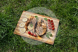 Baked salmon fish steak with tomatoes, herbs, lemon slice and spices. Smoked trout on green grass. Grilled seafood with vegetables