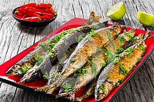 Baked saury on a red rectangular dish , close-up top view