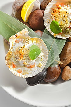 Baked Scallop in Scallops Shell with Spices Isolated