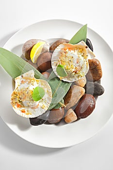 Baked Scallop in Scallops Shell with Spices Isolated