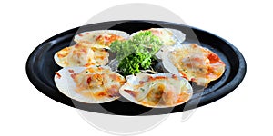 Baked Scallops with Cheese and green Parsley black ceramic dish isolated on white background with clipping path. Grill seashell