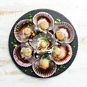 Baked scallops in seashells with garlic and spices on a black stone plate. Seafood. Top view.