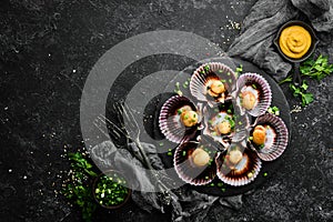 Baked scallops in seashells with garlic and spices on a black stone plate. Seafood. Top view.