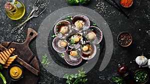 Baked scallops in seashells with garlic and spices on a black stone plate. Seafood. Top view.