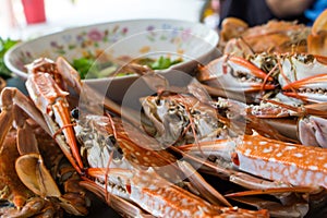 Baked sea crab seafood