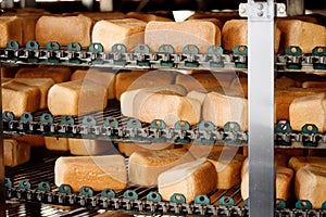Baked square breads on conveyor food automatic production line bakery from hot oven