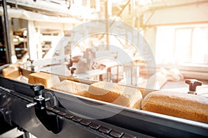 Baked square breads on conveyor food automatic production line bakery from hot oven, sun light