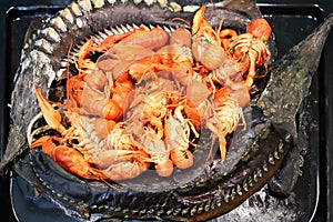 Baked sturgeons and crayfish on a black pan, photo