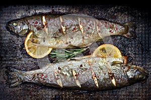 Baked trout fish with lemon and rosemary and spice on grunge metal plate still life