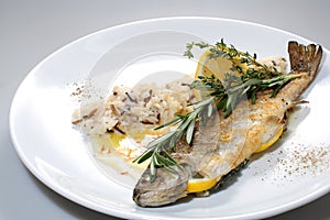 Baked trout with lemon, rosemary and wild rice on a white plate