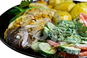 Baked trout on a plate with a salad of arugula, tomatoes, cucumbers and young potatoes with dill isolated on white background