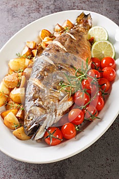 Baked whole fish arctic char served with fried potatoes, cherry tomatoes and lime close-up on a dish. Vertical