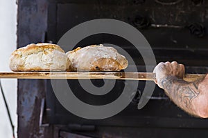 Baker baking fresh handmade bread in the bakery