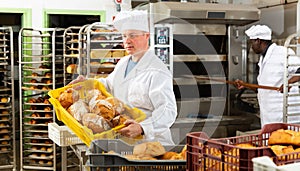 Baker carrying fresh bread in box