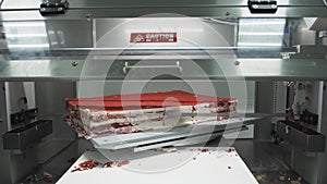 Baker is cutting a large piece of cake with special robot saw machine, factory