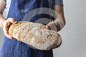Baker dressed in an apron holds an Italian classic Ciabatta bread