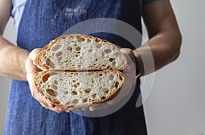 Baker dressed in an apron holds an Italian classic Ciabatta bread