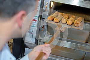 Baker getting fresh bread out traditional oven