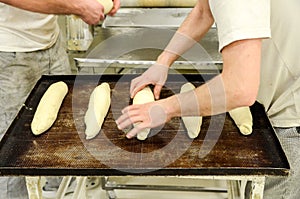 Baker hands kneading bread dough in bakery. Making bread. Men manually kneading fresh dough. Workers preparing pastry dough in bak