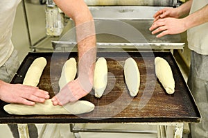 Baker hands kneading bread dough in bakery. Making bread. Men manually kneading fresh dough. Workers preparing pastry dough in bak
