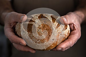 Baker man holding a beautiful loaf of homemade rye fresh bread. Close-up old hands with wrinkles. Concept of harvest with copy