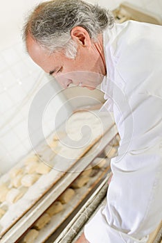 Baker preparing trays bread rolls