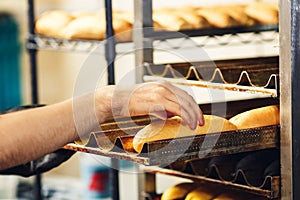 Baker puts hot dog buns on pallets.